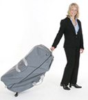 Pisces Productions Dolphin Travel Case Gray
