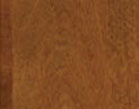 shaker maple stain