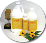Organic Massage & Body Lotion: INGREDIENT HIGHLIGHTS: Organic Botanical Extracts of Blue Malva, Lavender, Chamomile, Hibiscus, & Calendula Organic Aloe Vera; Organic Sunflower Oil; Organic Olive Oil; Organic Shea Butter; Organic Jojoba Oil; Hemp Seed Oil; Organic Flax Seed Oil; Vitamin E; No Nut Oils or Harmful Preservatives. Our Organic Massage and Body Lotion is a combination of Certified Organic and natural seed oils, that are rich in essential fatty acids and botanical extracts, along with rich Organic Shea butter and Hemp Seed Oil. Truly a one of a kind formula, offering perfect glide. It offers optimum skin nutrition, and is a rich luxurious lotion, not too oily and extremely moisturizing. Excellent for deep tissue control work, or as a moisturizing body lotion. It is water dispersible, and contains no nut oils or harsh preservatives. Use Organic Massage Lotion either for spa or massage treatments, or as a wonderful body lotion. Our Organic Masssage and Body Lotion is one of our many premier massage products. Organic Massage & Body Lotion:INGREDIENT HIGHLIGHTS:: Organic Botanical Extracts of Blue Malva, Lavender, Chamomile, Hibiscus, & Calendula Organic Aloe Vera ; Organic Sunflower Oil ; Organic Olive Oil ; Organic Shea Butter ; Organic Jojoba Oil ; Hemp Seed Oil ; Organic Flax Seed Oil ; Vitamin E ; No Nut Oils or Harmful Preservatives. Our Organic Masssage and Body Lotion is a combination of Certified Organic and natural seed oils, that are rich in essential fatty acids and botanical extracts, along with rich Organic Shea butter and Hemp Seed Oil. Truly a one of a kind formula, offering perfect glide. It offers optimum skin nutrition, and is a rich luxurious lotion, not too oily and extremely moisturizing. Excellent for deep tissue control work, or as a moisturizing body lotion. It is water dispersible, and contains no nut oils or harsh preservatives. Use Organic Massage Lotion either for spa or massage treatments, or as a wonderful body lotion. Our Organic Masssage and Body Lotion is one of our many premier massage products.