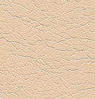 Earthlite/Living Earth Crafts Marie Beige Natursoft Vinyl Swatch